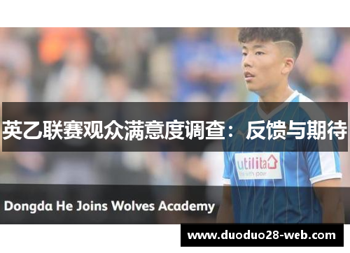 英乙联赛观众满意度调查：反馈与期待