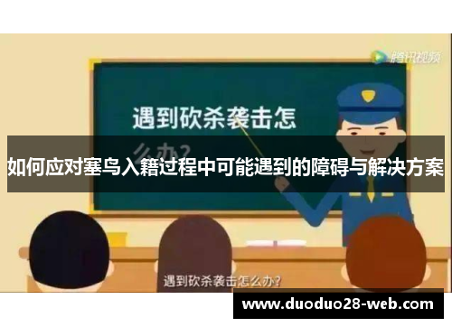 如何应对塞鸟入籍过程中可能遇到的障碍与解决方案
