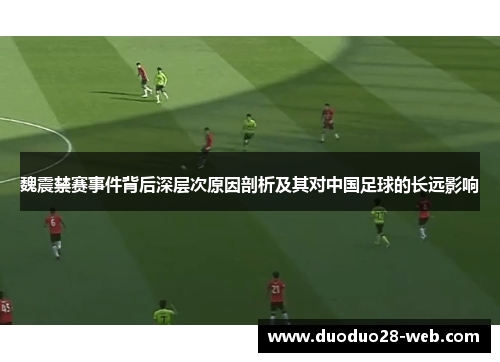 魏震禁赛事件背后深层次原因剖析及其对中国足球的长远影响
