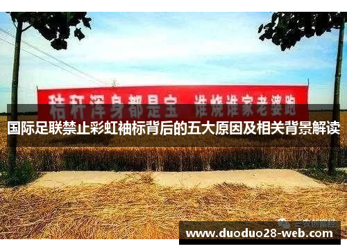 国际足联禁止彩虹袖标背后的五大原因及相关背景解读